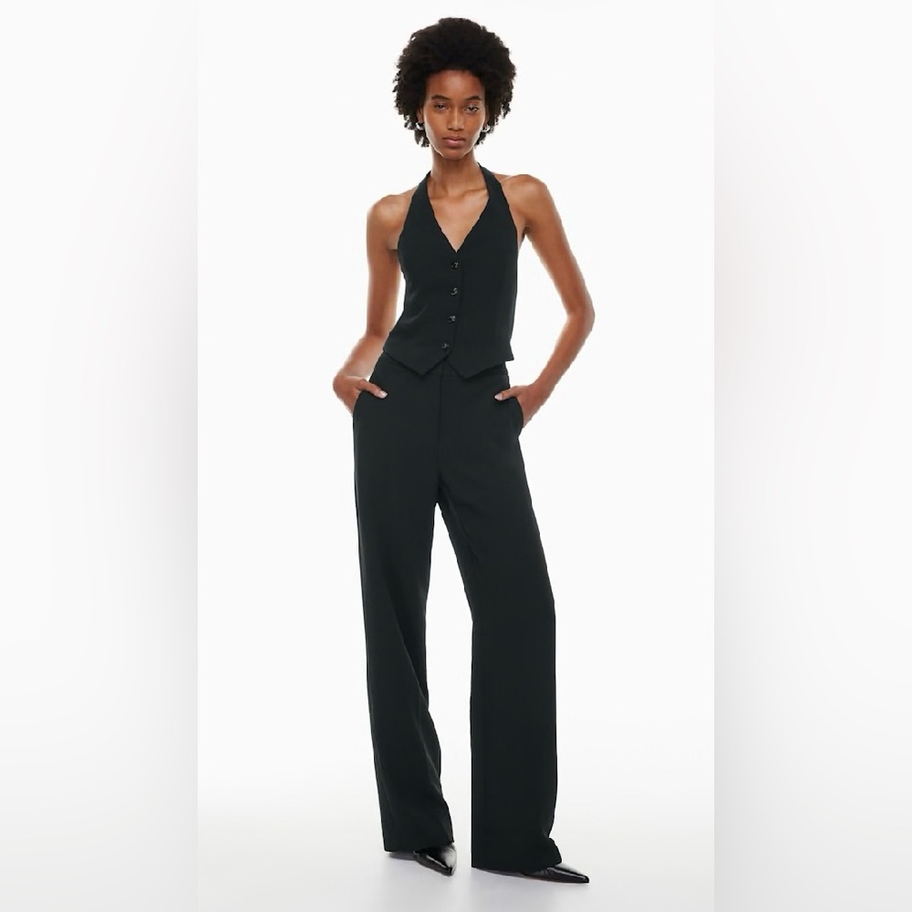 ARITZIA Wilfred Alanya Pants